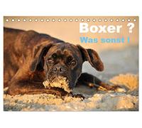 Boxer ? Was sonst ! (Tischkalender 2026 DIN A5 quer), CALVENDO Monatskalender: Ein toller Boxerkalender, der zeigt, wie Boxer so sind.
