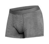 icebreaker 125 Cool-Lite Anatomica Boxers - Boxer laine mérinos homme Gritstone Heather XXL