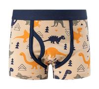 Boxers Garçon Boxer Enfant Garcon Short Enfant Caleçon 10 Ans Ado 3 Calecon 12 8 Caleçons 16 Microfibre Multisport 14 XXL 9 Slip 2/3 Vetement École Coton 5 3/4 Long 11 13