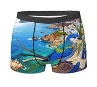 Boxers Homme Oiseau Bleu De La Falaise Trunk Caleçons | Caleçon homme Sans étiquette Confortable Boxer Sous pour Fitness Sport Travail