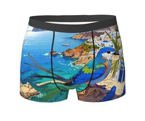 Boxers Homme Oiseau Bleu De La Falaise Trunk Caleçons | Caleçon homme Sans étiquette Confortable Boxer Sous pour Fitness Sport Travail