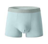 Boxers pour hommes en coton, short rétro grandes tailles, sous-vêtements légers, évacuant l'humidité, culotte respirante, boxer classique, maison, slip de sport décontracté, bleu ciel, L
