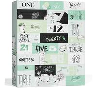 BOXILAND® Calendrier de l'Avent Chat 2026 avec 24 friandises chat 16 sortes | 24 délicieuses friandises pour chat en de nombreuses variétés - le calendrier pour fêter Noël avec votre chat