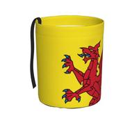 BOXILTD Somerset Poubelle de voiture pliable multifonction pour voiture, SUV, camion, motif drapeau du comté, noir
