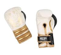 Boxing Gloves Fight Training Gloves for Men and Women Pro Training Sparring 10oz