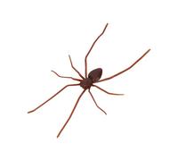 BOXOB Aimants Réfrigérateur Araignée Réalistes, Aimant Réfrigérateur Araignée 3D Marron Motifs d'Araignées Mignonnes Décorations Aimant pour Porte Garage Voiture Farce