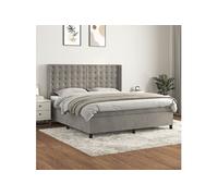Vidaxl Lit À Sommier Tapissier Et Matelas Gris Clair 160x200cm Velours Gris
