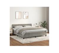 Vidaxl Lit À Sommier Tapissier Et Matelas Gris Clair 180x200cm Velours Gris