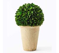BOXWOOD WORLD - Arbre de buis vivace artificiel en pot topiaire en pot en terre cuite pour la décoration de la maison, hôtel, bureau, style ferme (boule de buis en pot, 25 cm)