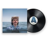 Boy Golden - Best Of Our Possible Lives [Vinyl Lp]