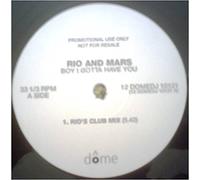 Boy I Gotta Have You [12 inch] [Import]