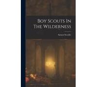 Boy Scouts In The Wilderness