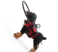 BOYANDM Collier d'assistance à configuration rapide pour chiens sans vue Taille M Évite les accidents en plein air Confiance Collisions Proof Circlet