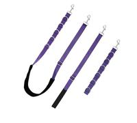 BOYANDM Corde à boucle en métal sécurisée pour chien et chat - Corde de sécurité en métal pour table de toilettage