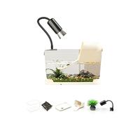 BOYANDM Habitat pour tortues comprenant une plate-forme de baignade et un quai de rage, aquariums d'élevage pour animaux domestiques, plate-forme paysagère