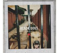 Boys Night Out Black Dogs (CD)
