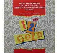 Boys Town Gang - Can't Take My Eyes Off You/Remember me/Ain't no Mountain High Enough Suite Remix [Import]