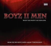 BOYZ II MEN What You Won't Do for Love (CD) Single