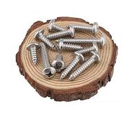 BOZONLI Vis Autotaraudeuses Phillips à tête Ronde Vis à Bois Vis Bricolage en Acier Inoxydable M3.5×10mm,50 pcs