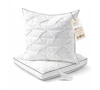 BPC Oreiller en Duvet 60x60 cm Lot de 2, Coussin 3 Chambres avec 90% Duvet extérieur et garnissage Contenant des Plumes, Moelleux et Soutien équilibré, Housse 100% Coton Bio, Lavable en Machine