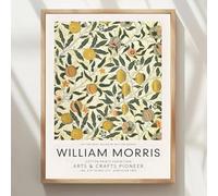 BPJSTU Tableau abstrait vintage de William Morris, reproduction d'art sur toile, affiche murale, décoration moderne pour salon (50x70cm/sans cadre)