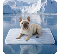 Bpoeee Pet Cooling Ice Silk Mat - Breathable Summer Cooling Pet Bed Pad for Dogs & Cats, Washable Lightweight Sleeping Cushion for Indoor Outdoor Use, Anti-Heat Crate Sofa Mat (Blue,M)