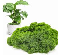 Bprtcra Mousse Artificielle pour Décoration, Mousse Fausse Anti-UV Résistante à l'Humidité, Idéale pour Jardin, Terrarium, Décor Intérieur Extérieur, Tapis de Mousse Vert Naturel (300, Grammes)