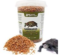 BPS Gammarus Food Aliment Naturel pour Tortues Aquatiques Floating Turtle Terrapin (500 ML)