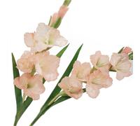 BQEE Lot de 2 fleurs de glaïeul artificielles à longue tige pour décoration de maison/mariage/bureau (rose)