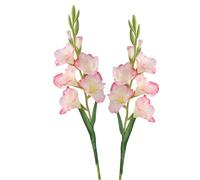 BQEE Lot de 2 fleurs de glaïeul artificielles à longue tige pour décoration de maison/mariage/bureau (rose corail)