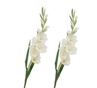 BQEE Lot de 2 fleurs de glaïeul artificielles à longue tige pour décoration de maison/mariage/bureau (blanc)