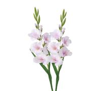BQEE Lot de 2 fleurs de glaïeul artificielles à longue tige pour décoration de maison/mariage/bureau (violet taro)