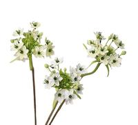 BQEE Lot de 3 fleurs artificielles étoiles de Bethléem en soie et plastique pour décoration de mariage, maison, chambre à coucher (blanc)