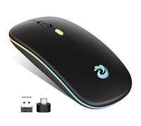 BQSS Souris Sans Fil Rechargeable, Souris Rétroéclairée de 7 Couleurs, Souris Silence Optique 1200-1600 DPI Réglable avec Mini Récepteur USB 2,4 GHz, pour Mac,Ordinateur,PC,Ordinateur Portable,Windows