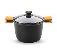 BRA Efficient | Marmite 24 cm avec Couvercle, Fonte D'Aluminium, avec Ainadhésif Platiunm Plus sans PFOA, avec Anses en Silicone Démontables, Tous Feux Dont Induction