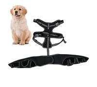 Brace de hanche de chien, attelle orthopédique pour chiens - PET Soutien du jarret orthopédique pour l'assistance à la hanche,Soupchoir des jambes, protection contre les plaies du genou pour animaux d