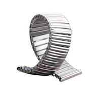 Bracelet de montre élastique 12mm 14mm 16mm 18mm 20mm, bracelet de montre en acier inoxydable for hommes et femmes, bracelet d'extension extensible, accessoires(Silver,16mm)