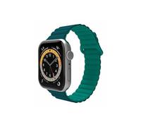 Celly WBANDMAGGNLG pièce et accessoire de montre Bracelet de montre