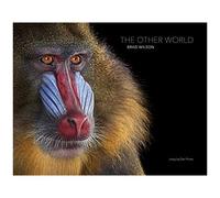 Brad Wilson: The Other World