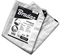 Bradas Bâche de protection renforcée 100 4x6m, Transparent