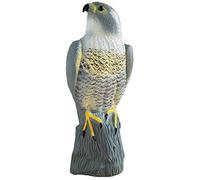 Bradas Faucon debout réaliste pour effrayer les oiseaux