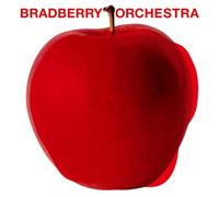 Bradberry Orchestra - Vol. 0 [Import]