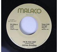 Bradley, James - James Bradley [Vinilo]