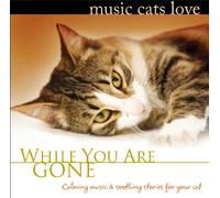 Bradley Joseph - Music Cats Love: While You Are Gone