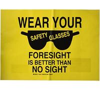 Brady 128513 Panneau de protection personnelle, légende « Wear Your Safety Glasses Foresight is Better Than No Sight », 25,4 cm de hauteur, 35,6 cm de largeur, noir sur jaune