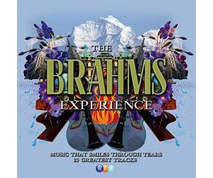 Brahms Artisti Vari - The Brahms Experience