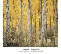 Brahms: Intermezzo