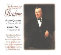 Brahms Klaviertrios Vol. 2 by Abegg Trio