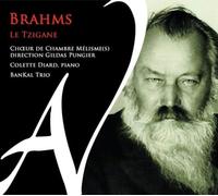 Brahms – Le Tzigane – CD – Integral