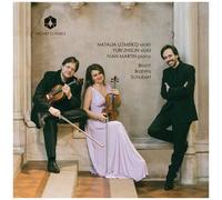 Brahms / Lomeiko / Martin - Bruch & Brahms & Schubert [Compact Discs]